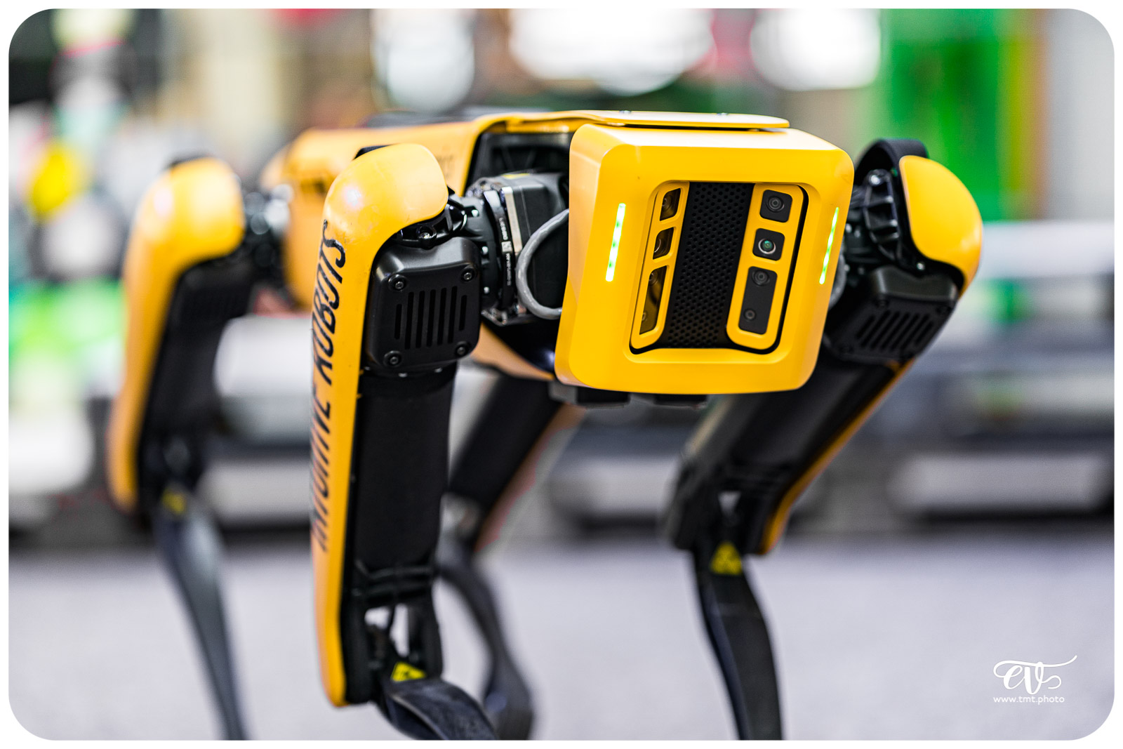 SPOT (BOSTON DYNAMICS)